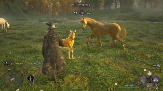 Hogwarts Legacy unicorn смотреть онлайн