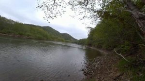 Рыбалка на Симу, на реке Лютога май  2022, о. Сахалин