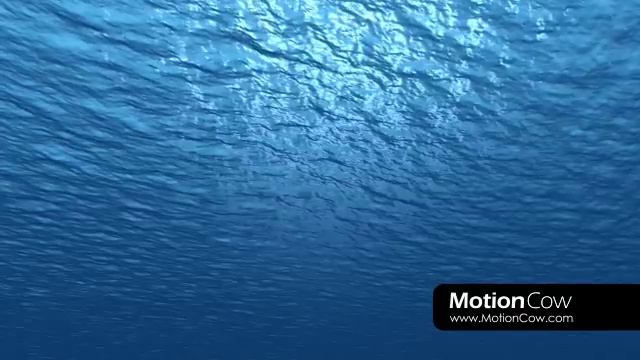 Underwater HD Stock Footage Animation By MOTIONCOW