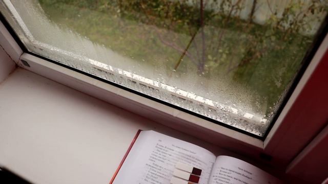 УСПЕТЬ ПРОЧИТАТЬ 15 КНИГ ДО КОНЦА ГОДА И КНИЖНЫЙ ВЛОГ📚📖 смотреть онлайн