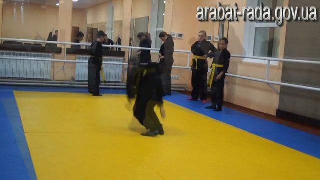 тренировки "Восточных единоборств" в с. Счастливцево смотреть онлайн