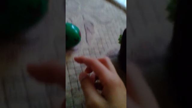 Как научить морскую свинку толкать мяч? смотреть онлайн