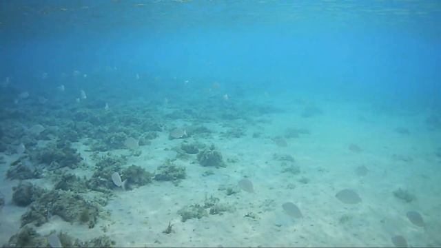 Красное море. Иордания. Акаба. Тала Бей. смотреть онлайн