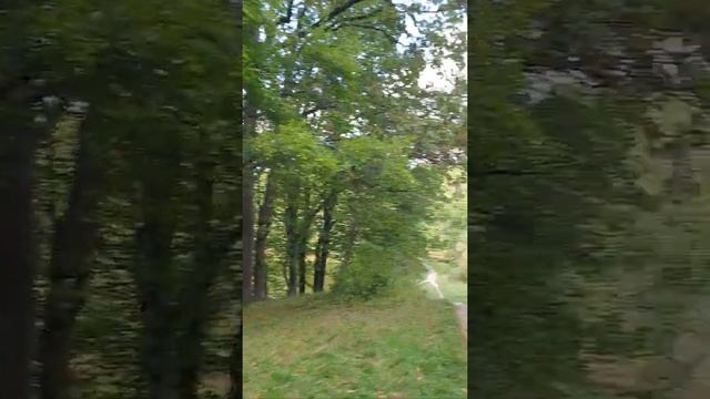 Макс Ашман парк 02 (2180p 60 fps) моноколесо стабилизатор Калининград смотреть онлайн