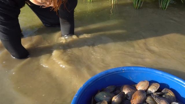 Harvesting Crab and Mussels Bring To Market To Sell - Life Farm / Triệu Thị Hòa смотреть онлайн