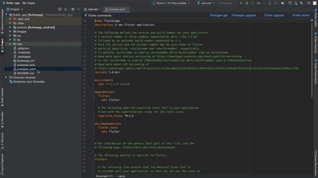 Loading Images from Assets in Flutter смотреть онлайн