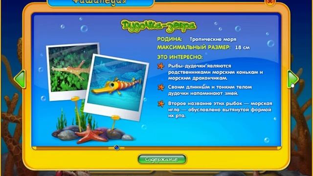 Краткий обзор FISHDOM 2 !!! смотреть онлайн