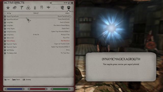 Skyrim Let's Become: The Shield Mage Remastered #9 смотреть онлайн