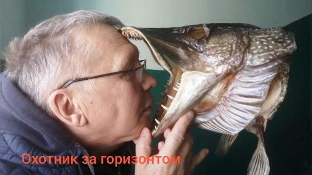 Нижнесортымский. Евгений. смотреть онлайн