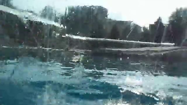 Морж хрюкает мордой смотреть онлайн