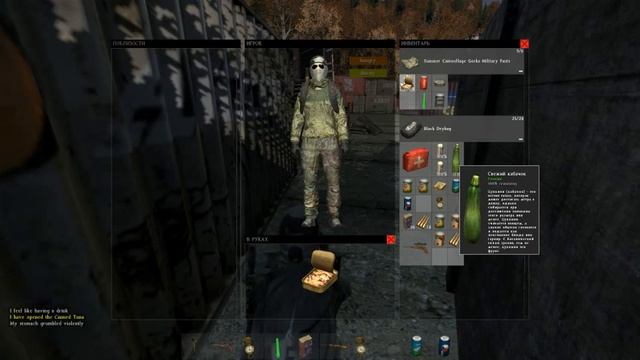 DayZ Невезучие огородники смотреть онлайн