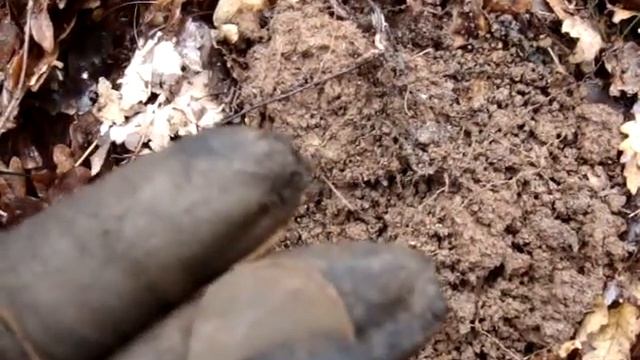 Metal Detecting (4) TESORO Tejon - Long hunt in the woods (Musket balls, Napoleon, silver) 24.3.201 смотреть онлайн