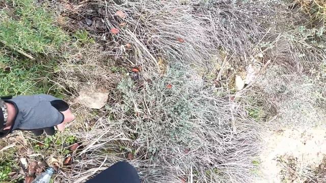 Ловим басса на Кипре +РОЗЫГРЫШ смотреть онлайн