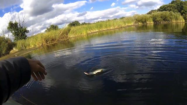 Ловля Щуки осенью. Рыбалка на спиннинг. смотреть онлайн