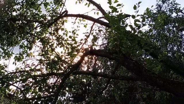 Душевные страницы "Девочка, которая любила загорать" смотреть онлайн