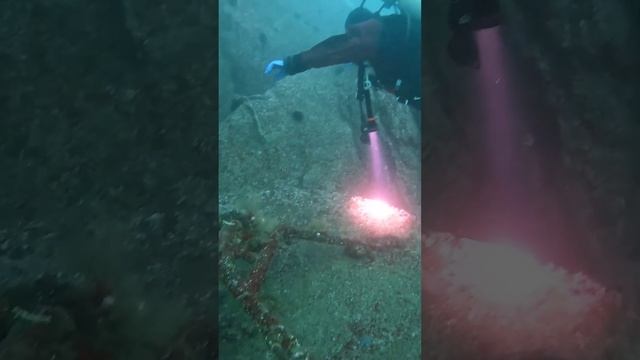 дайвинг в приморье . Находка , б Окуневая смотреть онлайн