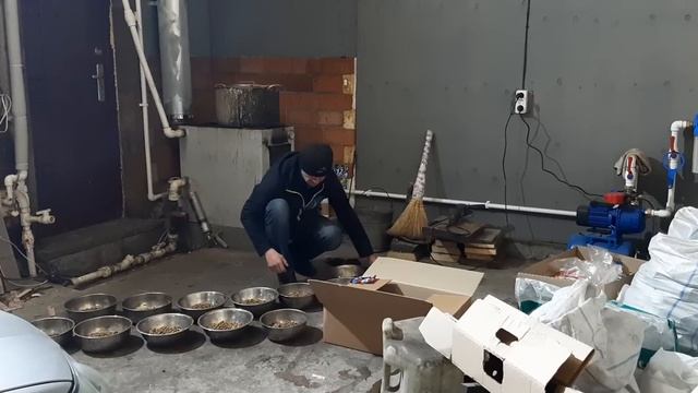 Бугай Алабай. Первая каша этой зимы. смотреть онлайн