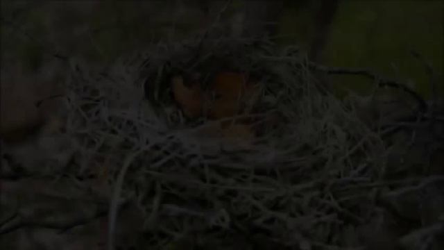 Осень наступила... смотреть онлайн