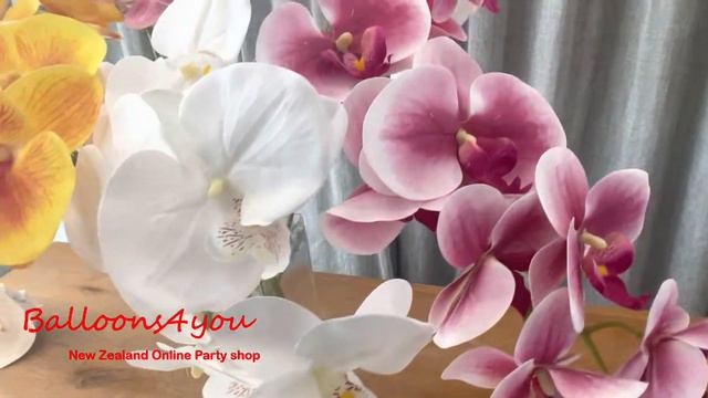 Phalaenopsis orchid смотреть онлайн