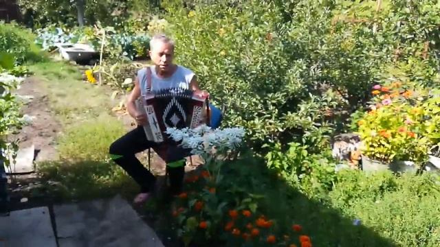 Течёт речка по песочку.Гармонь Ю.С Коротеев смотреть онлайн