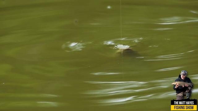 Matt Hayes Fishing Show Freelining смотреть онлайн