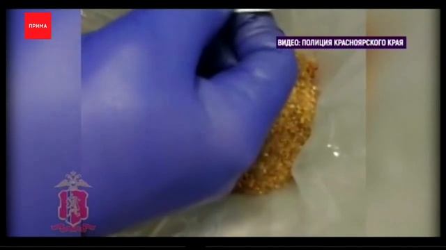 На севере приостановили незаконную добычу золота смотреть онлайн