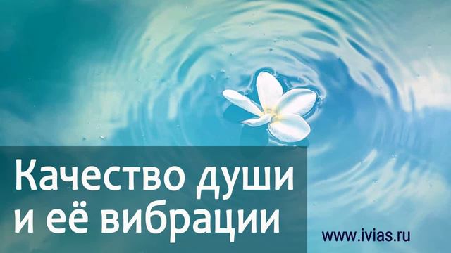 Качество души и её вибрации | Книга жизни смотреть онлайн