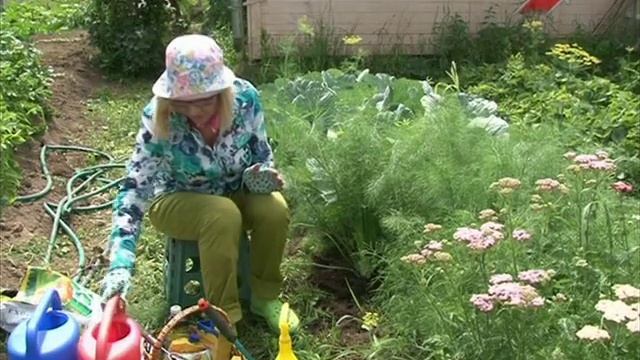 Сад. Серия 000. Фенхель смотреть онлайн