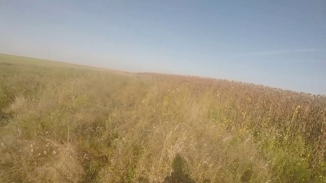 1000021461.mp4 смотреть онлайн