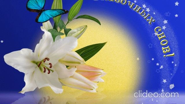 Спокойной ночи, Добрых снов, ?