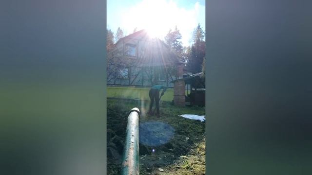 Один день дачного человека. ☀️?? Люблю трудится на грядках.? Определенно нужен свой дом. смотреть онлайн