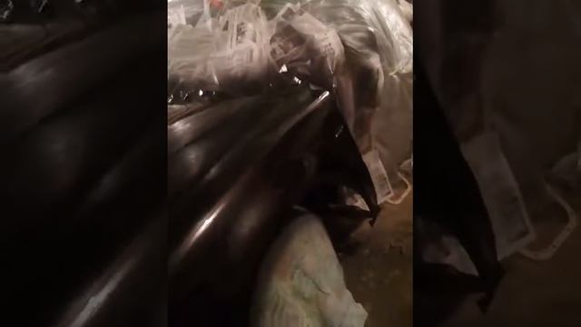 Покраска Passata b5 смотреть онлайн