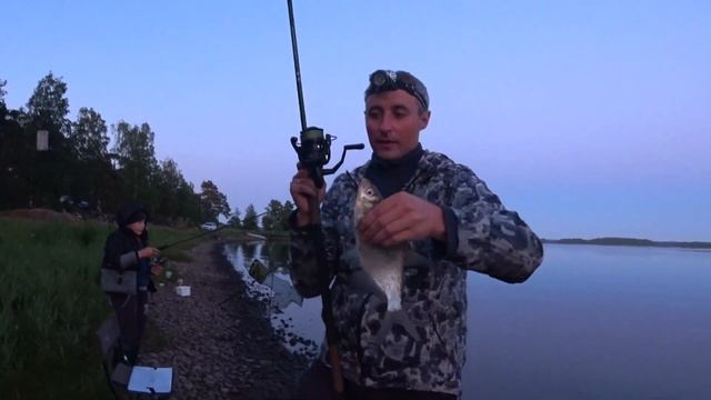 Выборгский Залив. Ловля Леща на Фидер. Прикормка Горох. смотреть онлайн