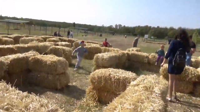 НОВАЯ🔅ДОЛИНА АЛЬПАК рядом с ФЕЛЬДМАН ЭКОПАРКом. ХАРЬКОВ сегодня 🍀🍀🍀 смотреть онлайн