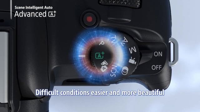 EOS R50 | Canon's best entry level camera yet! смотреть онлайн