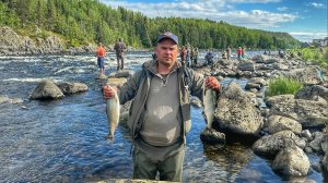 Умба 2023. Рыбалка на Кольском полуострове. Ловля горбуши на муху