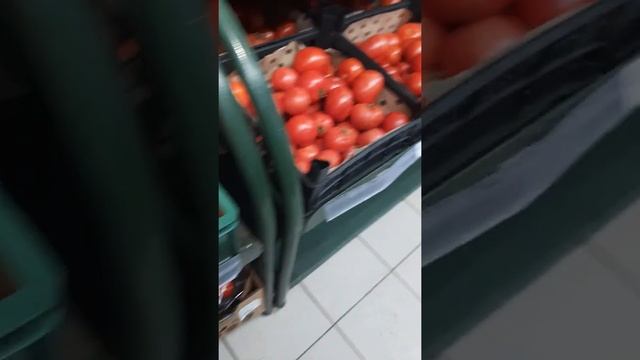 цены в магните картофель 79р? смотреть онлайн