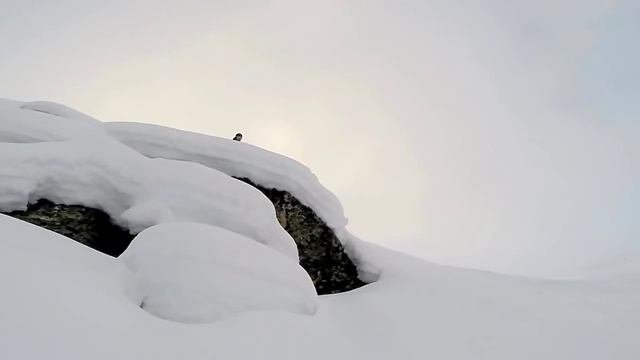 Livigno Freeride 2014 смотреть онлайн