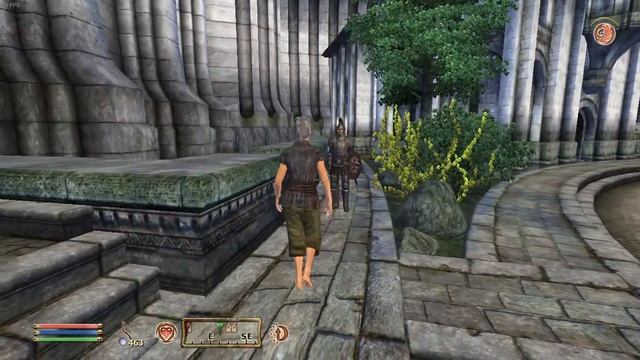 Oblivion: Consistent Beggar Voices MOD preview смотреть онлайн