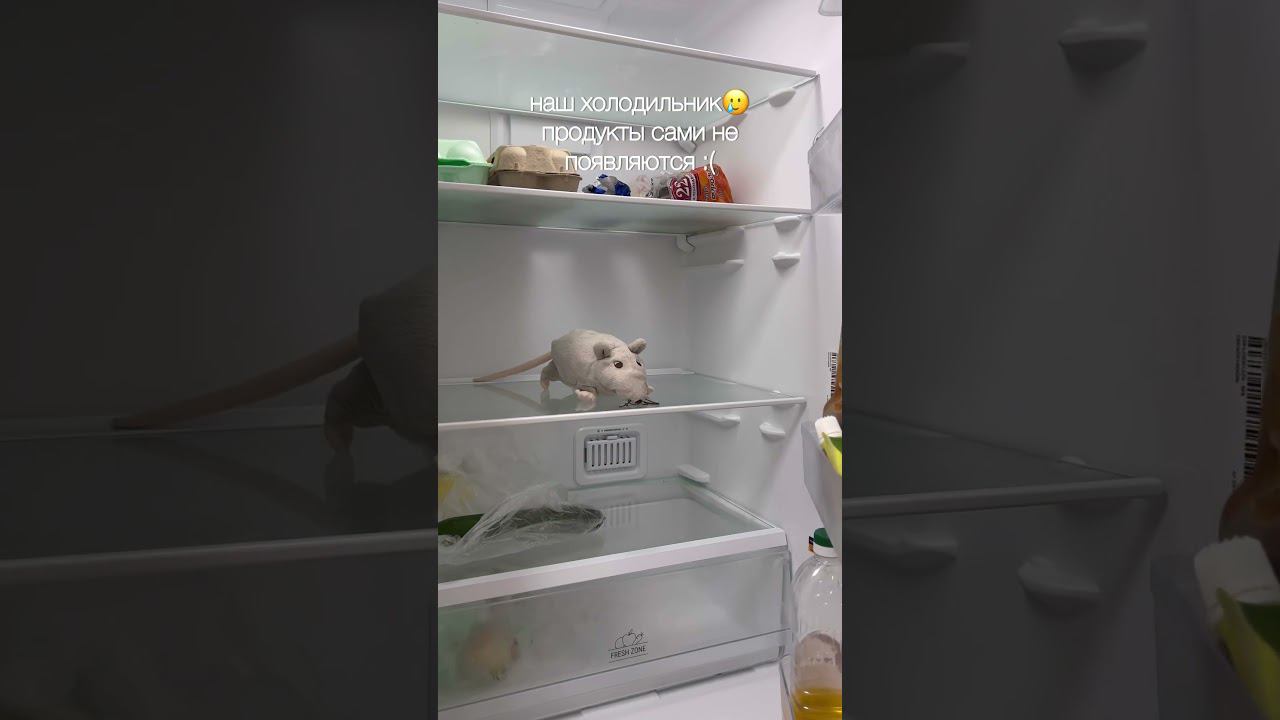 что я ем за день? версия от студентки:) #wildberries #влог #чтояемзадень #чтояем #мойденьпочасам смотреть онлайн