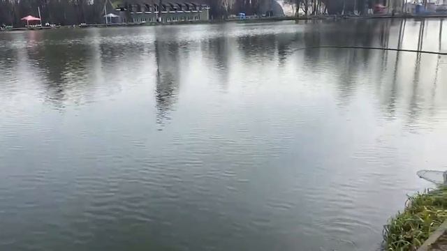 Поимки. Ольгово. смотреть онлайн