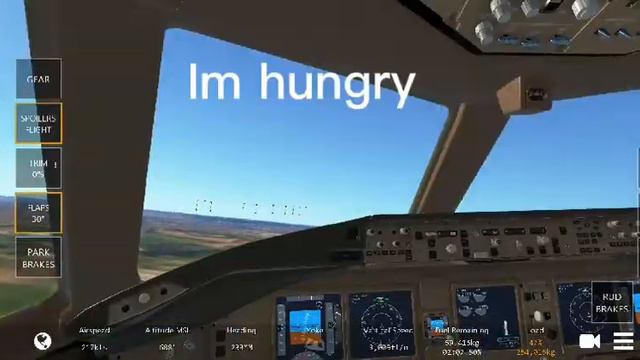 A french guy flies witch AirFrance in infinity flight смотреть онлайн