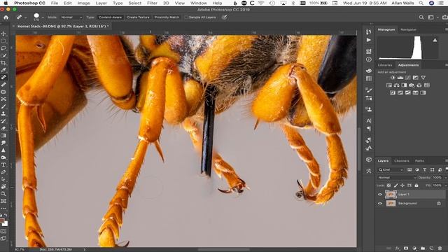 Macro focus stacking - step-by-step guide for PS and Zerene Stacker смотреть онлайн