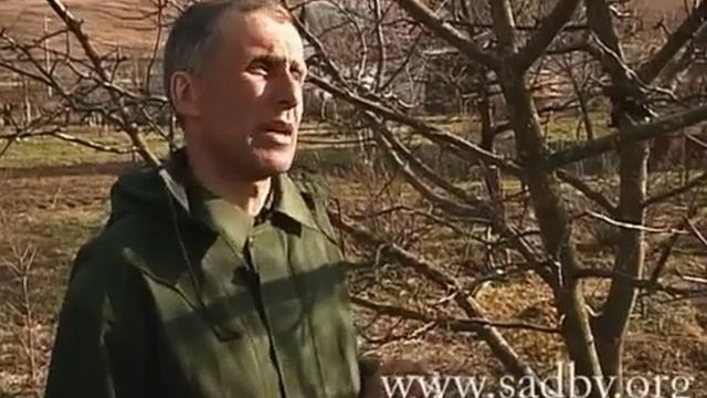 Несколько советов по уходу за деревьями © - Уроки Николая Рабушко. смотреть онлайн