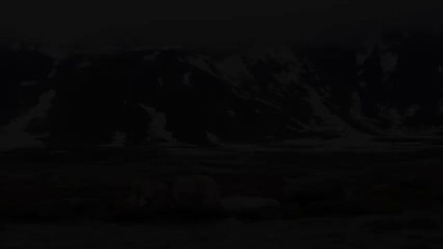 KINGDOM ANIMALS - 8K (120FPS) ULTRA HD - Scenic Film With Nature Sounds (Colorfully Dynamic) смотреть онлайн