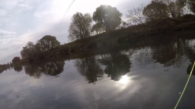 Ловля окуня нахлыстом . Осень .