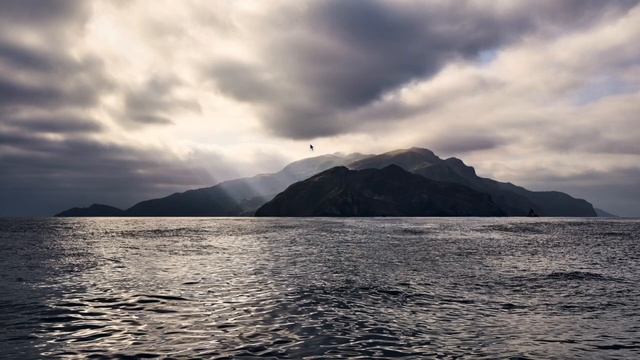 How to install Mysql and Run Example on Terminal in Macbook смотреть онлайн