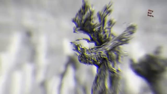 Марокко Интересные факты 720p смотреть онлайн