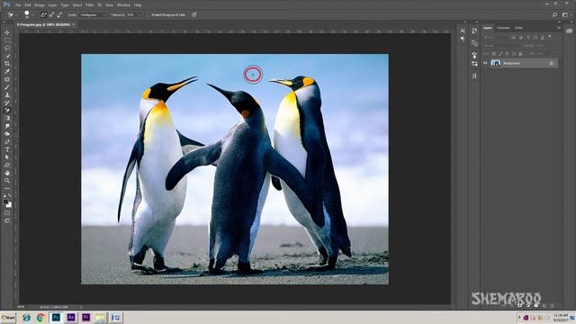 How to use Photoshop Background Eraser tool tutorial :Shemaroo Institute of Film & Technology смотреть онлайн