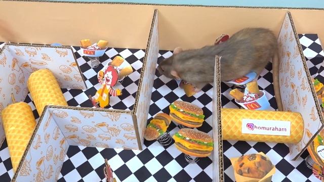 Крыса в лабиринте Макдональдс ? Хомура Хам Питомцы смотреть онлайн